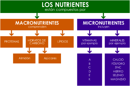 Valores de referencia de nutrientes